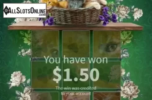 Win 1