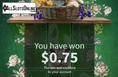 Win 2