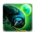 icon 3