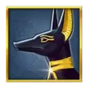 icon 5