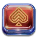 icon 14