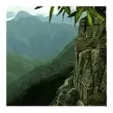 icon 6