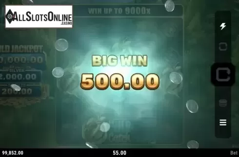 Big Win. Wild Catch (Stormcraft Studios) from Stormcraft Studios