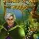 Wizard of the Woods