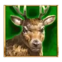 icon 4