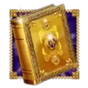 icon 10