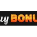 Bonus Buy Free Spins Feature
