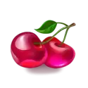 icon 9