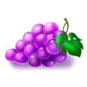 icon 5