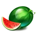 icon 4