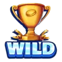 icon 9