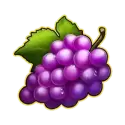 icon 5
