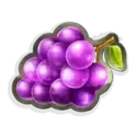 icon 4