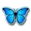 icon 1
