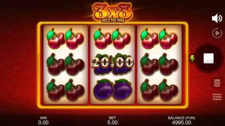 3X3: Hold The Spin slot screenshot 2