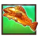 symbol 5
