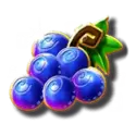 icon 5