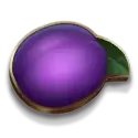 icon 5