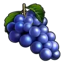 icon 2