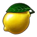 icon 6