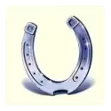 icon 5