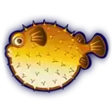 icon 5