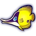 icon 6
