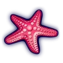 icon 8