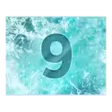 icon 10