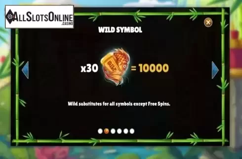 Wild Symbol