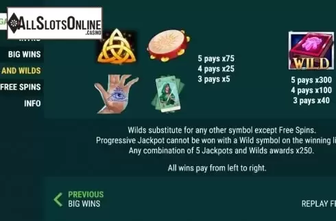 Wins and Wilds screen