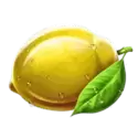 icon 7