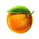 icon 6