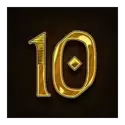 icon 10