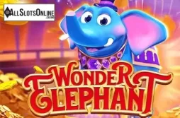 Wonder Elephant