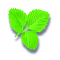 icon 9