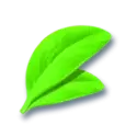 icon 10