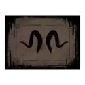 icon 13