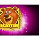 Bonus Buy Free Game
