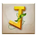 icon 9