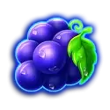 icon 5