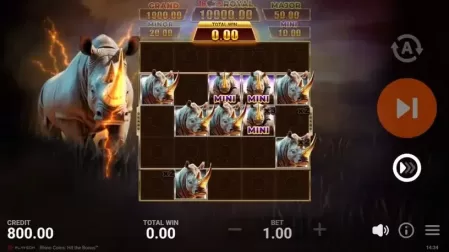 Rhino Coins: Hit the Bonus slot screenshot 4