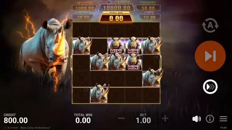 Rhino Coins: Hit the Bonus slot screenshot 