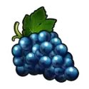 icon 4