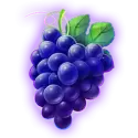 icon 5