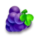icon 7