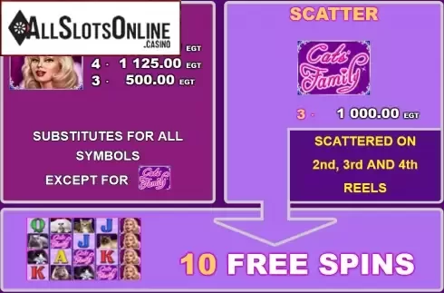 Screen2. 100 Cats from EGT
