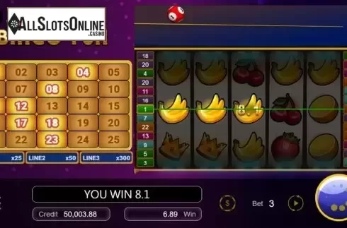 Win Screen. Bingo Fun from Manna Play