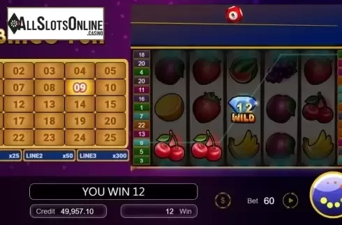 Win Screen 2. Bingo Fun from Manna Play