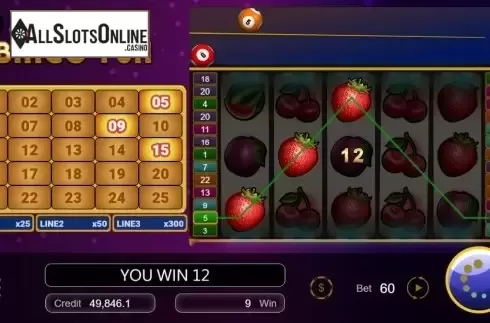 Win Screen 3. Bingo Fun from Manna Play